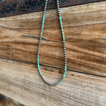 Turquoise and Spiny Necklaces