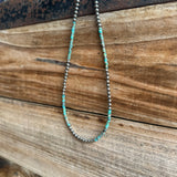 Turquoise and Spiny Necklaces