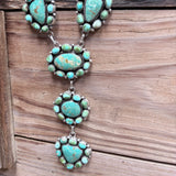 Sonoran Cluster Set by G. James