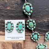 Sonoran Cluster Set by G. James