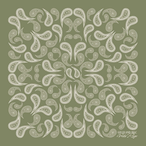 Silk Sage Paisley